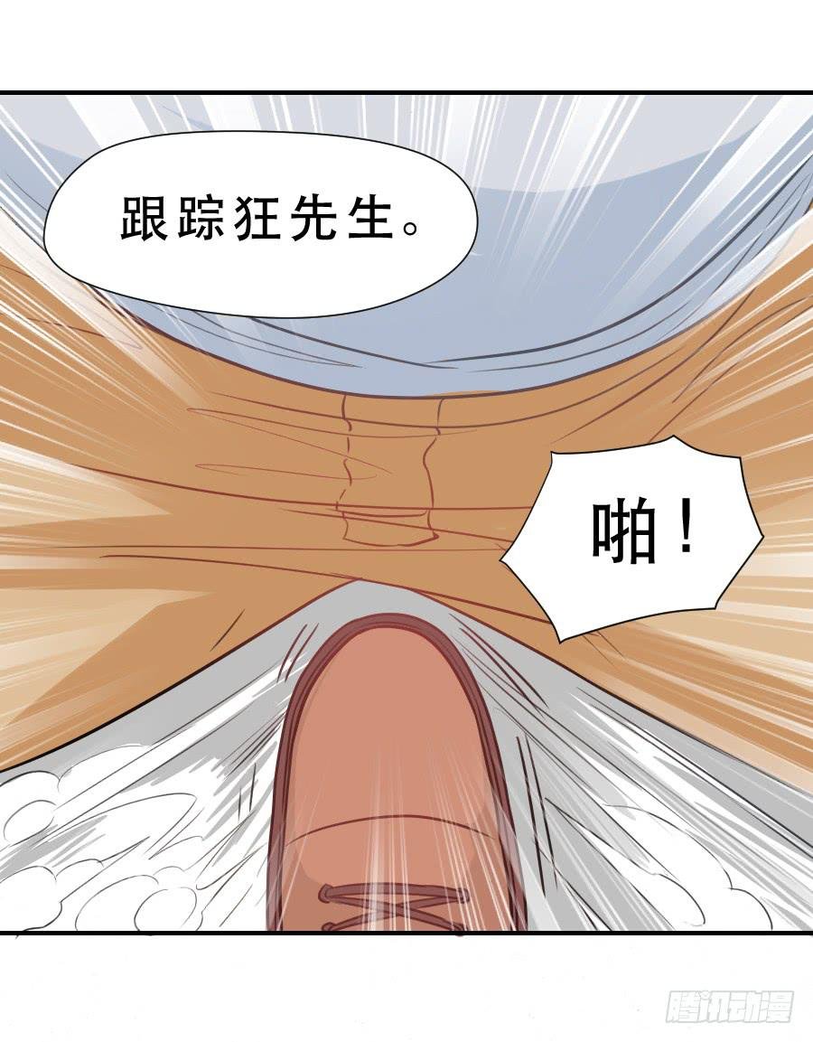 高智商精分