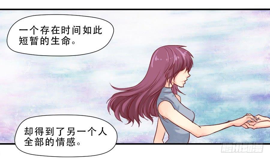 思念成终