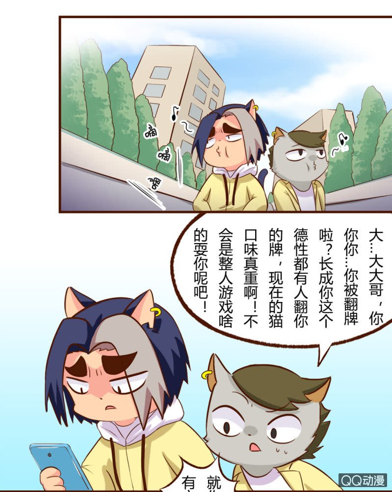 实现？双十一的愿望