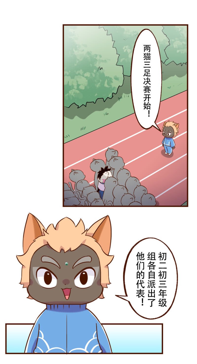 合作！两猫三足