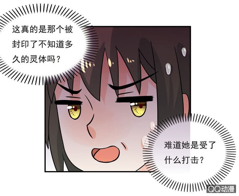 明天去会展