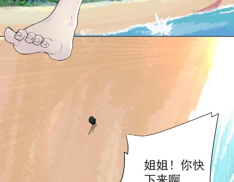 第23话 海滩露营