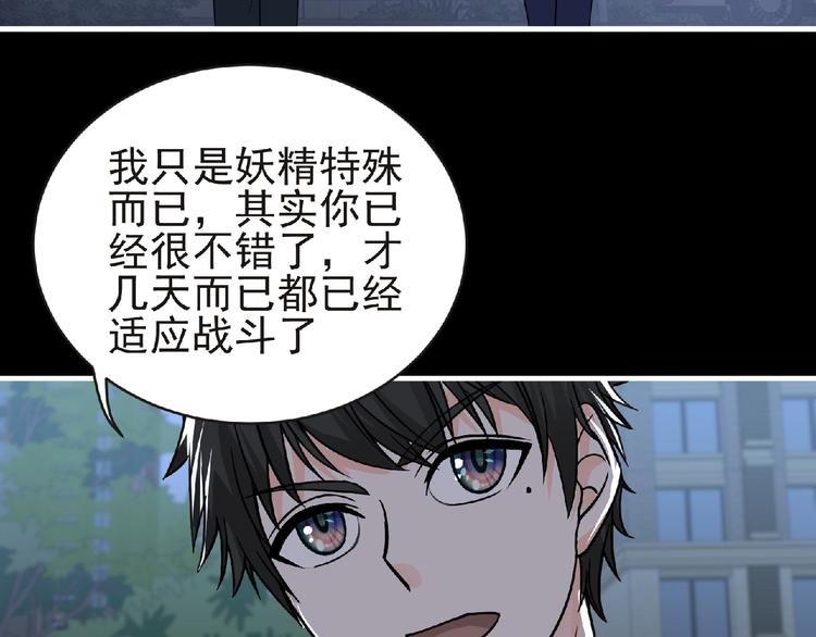 第41话 菲瑞