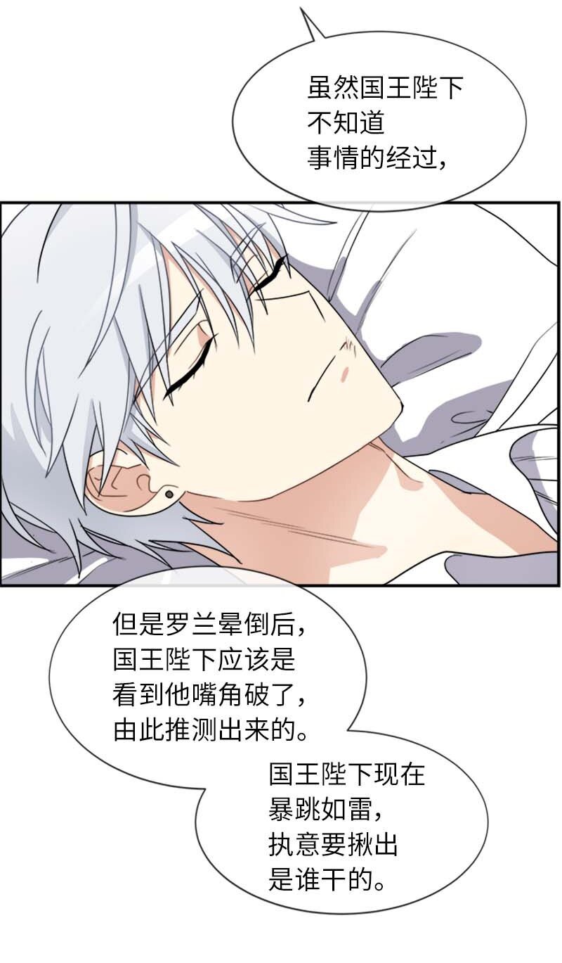 19 罗兰