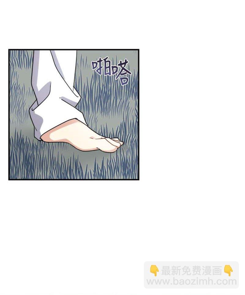 20 雷诺
