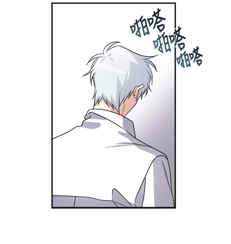 20 雷诺