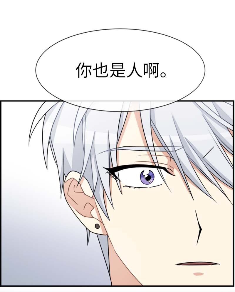 20 雷诺