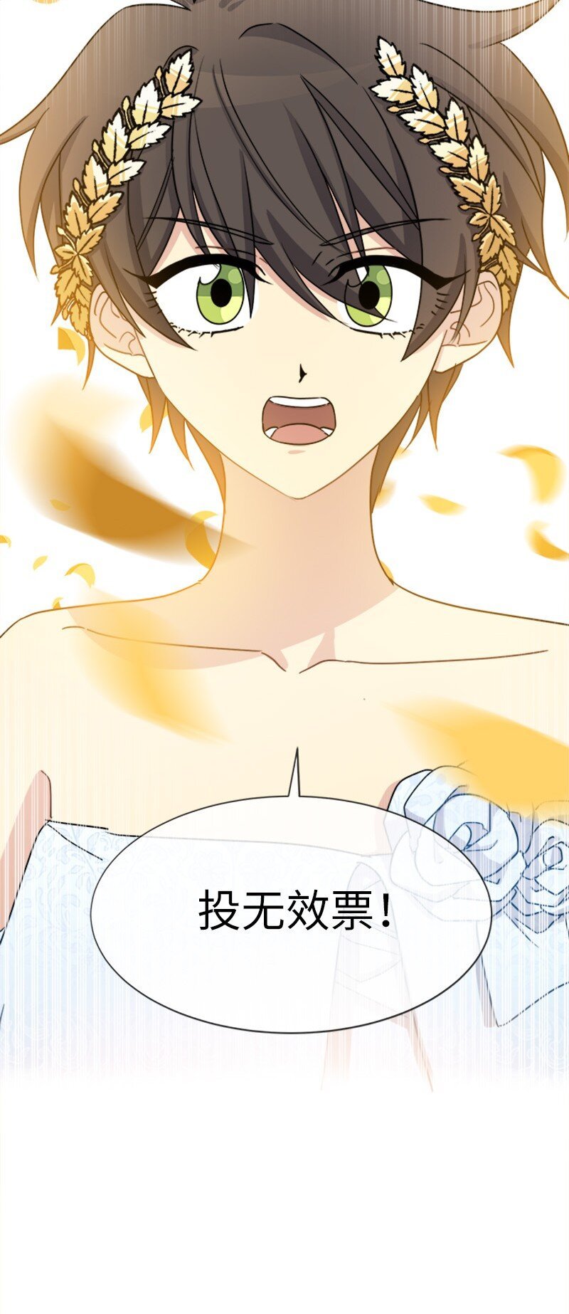 27 请投无效票！