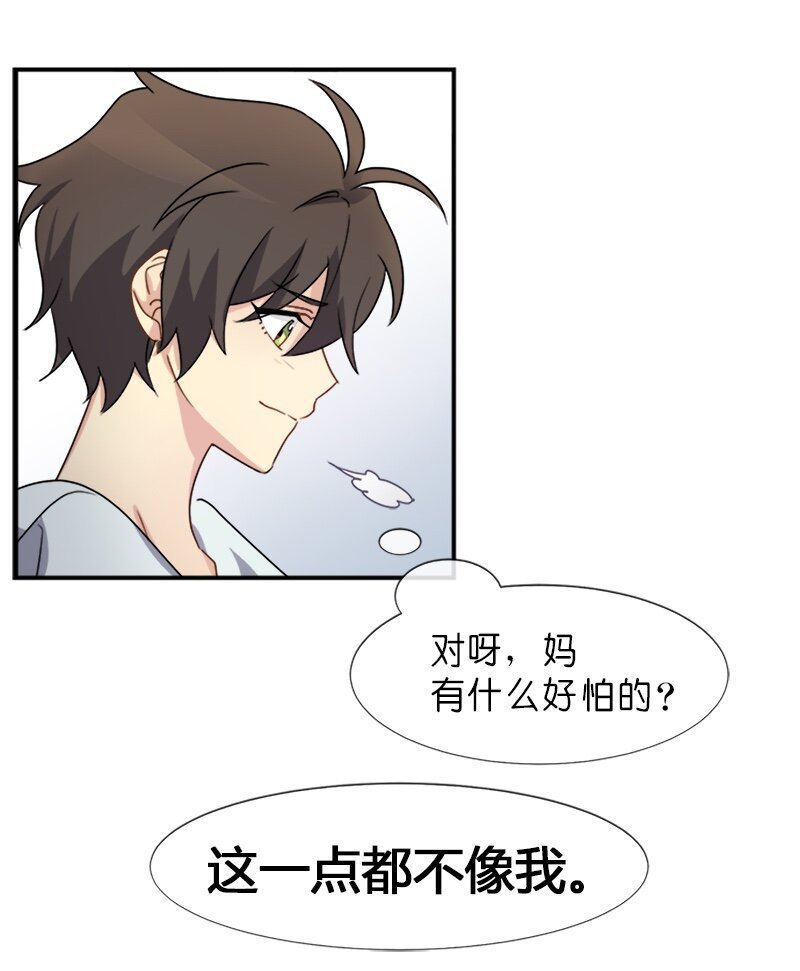 04 终于还是要参选了
