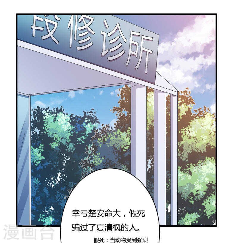 第135话 夏清枫？！
