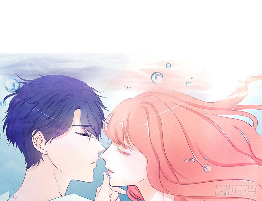 chapter·015