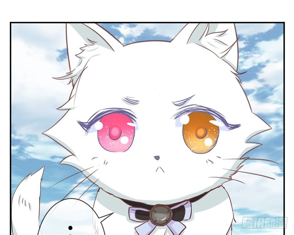 chapter·017