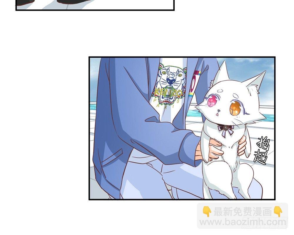 chapter·017