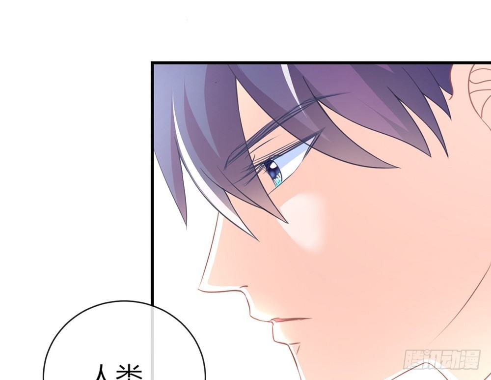 chapter·033