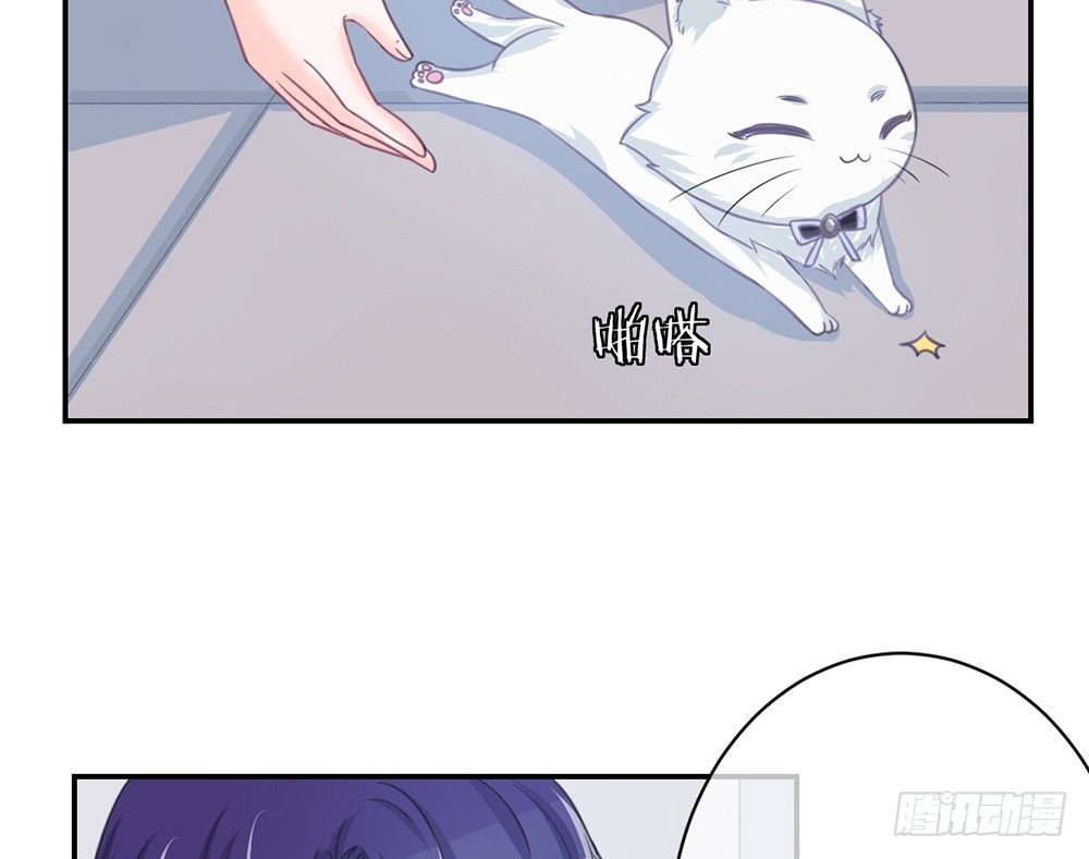 chapter·005