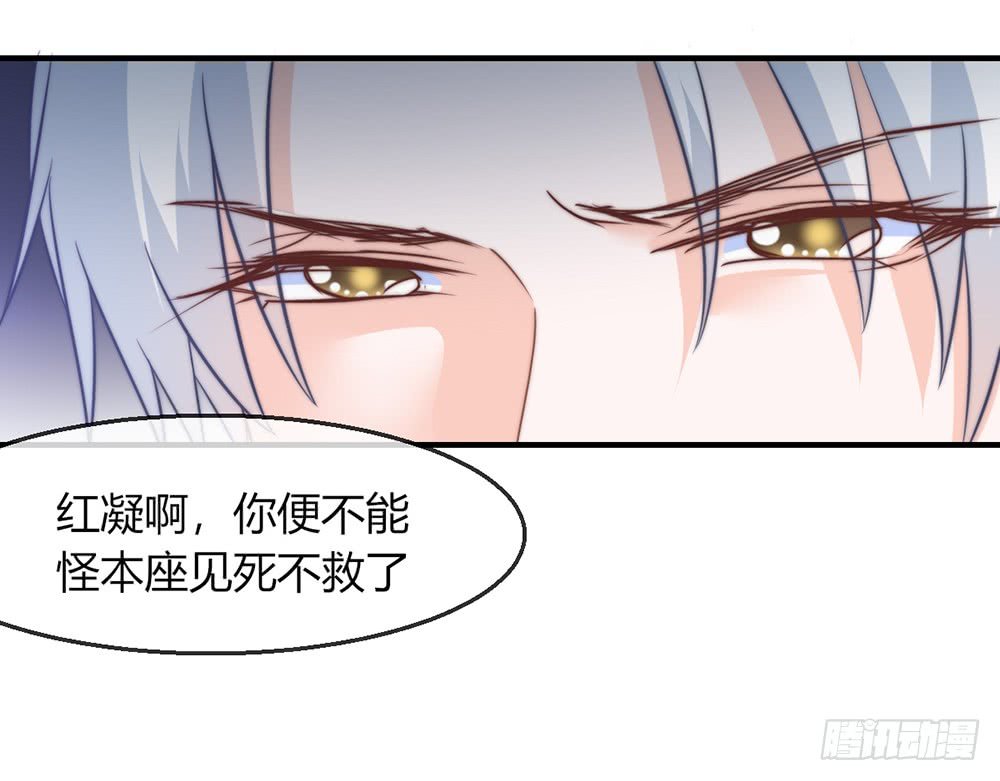 chapter·095