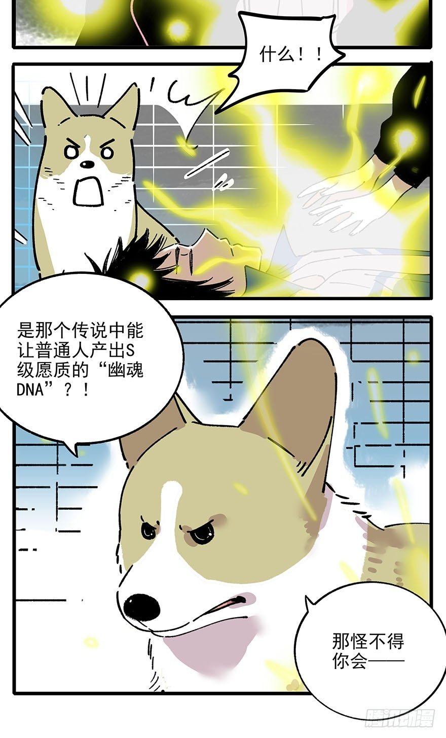 009-不好意思，我们男主死了！