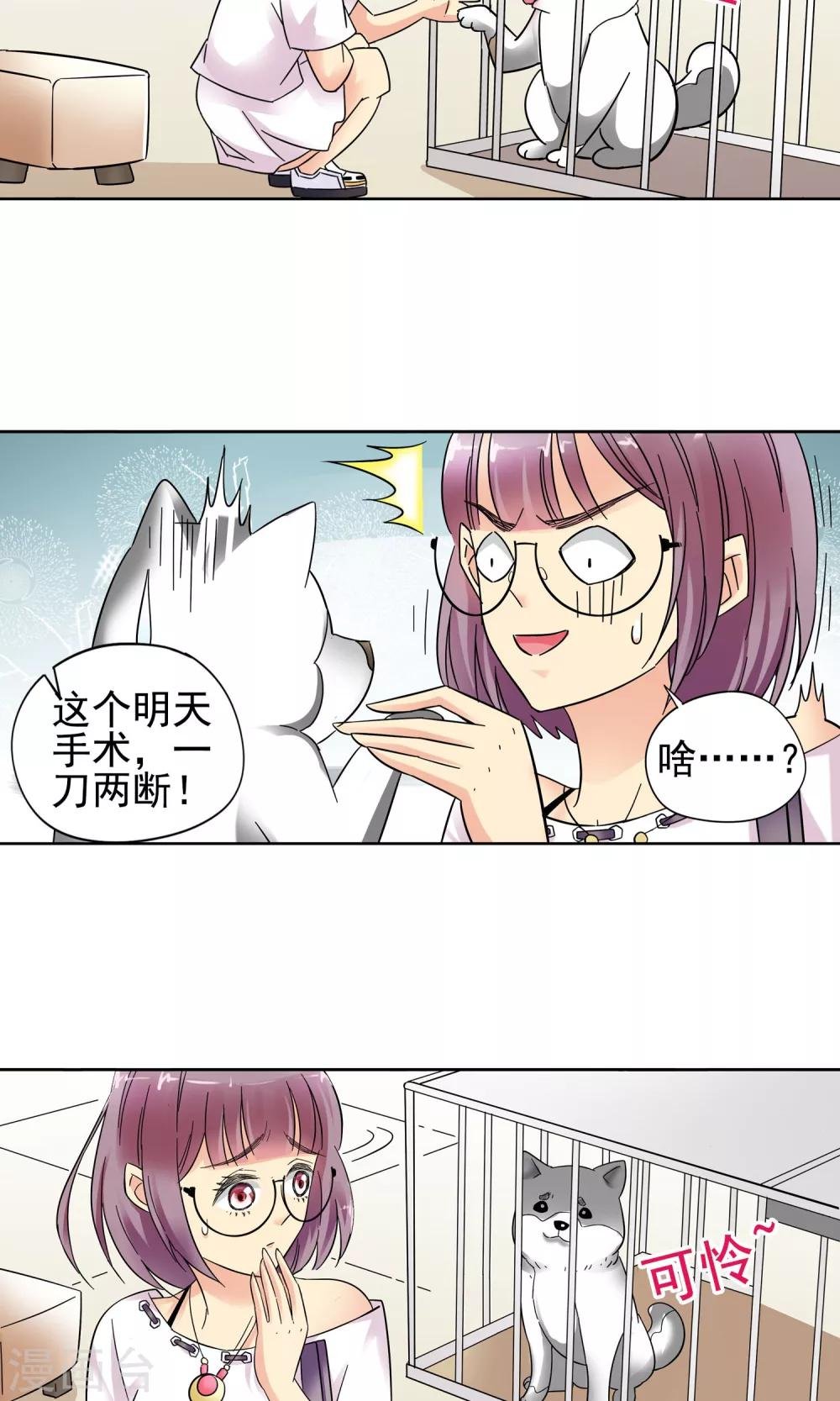 第10话 都是救死扶伤就不要挑剔了2