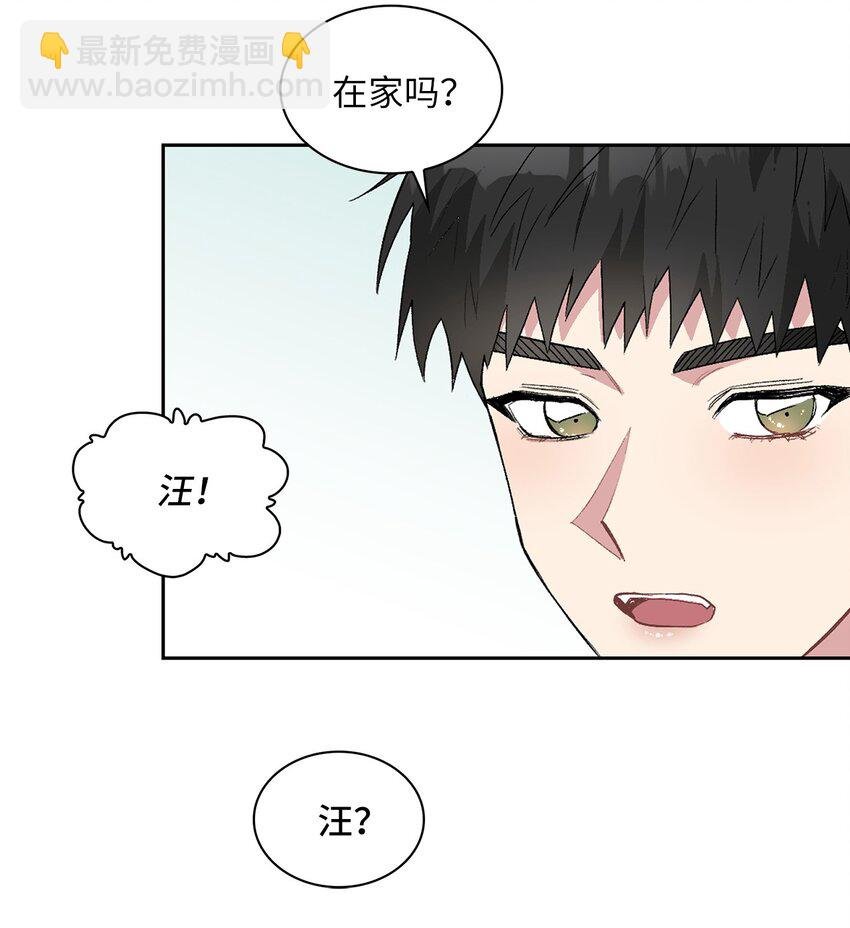 24 小灰灰出没
