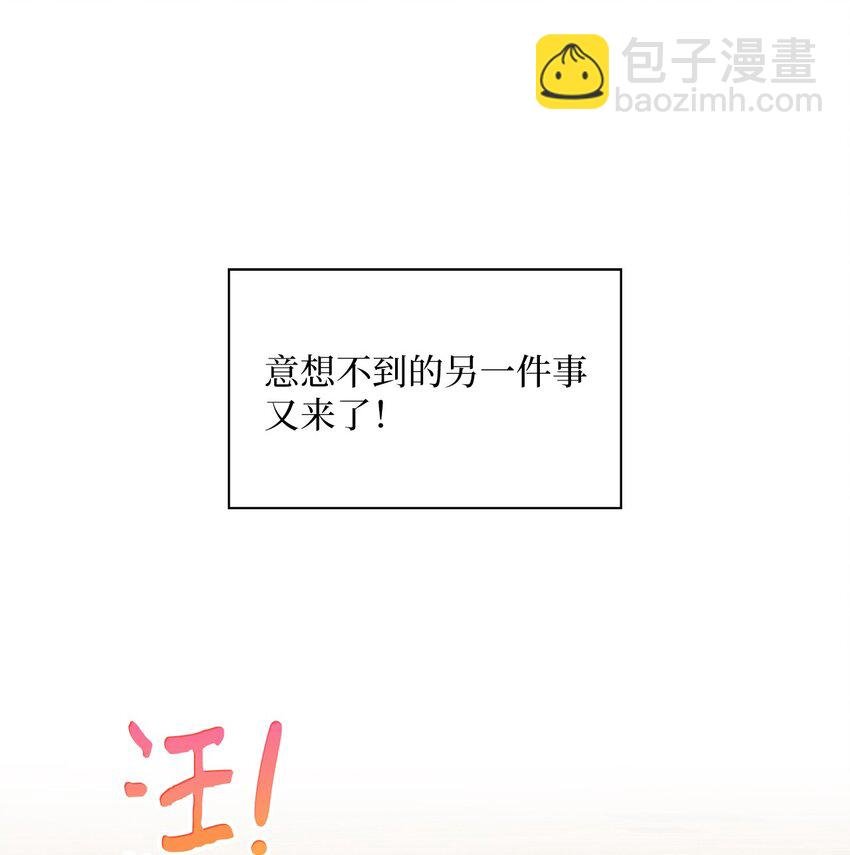 24 小灰灰出没