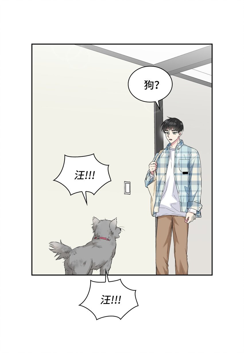 24 小灰灰出没