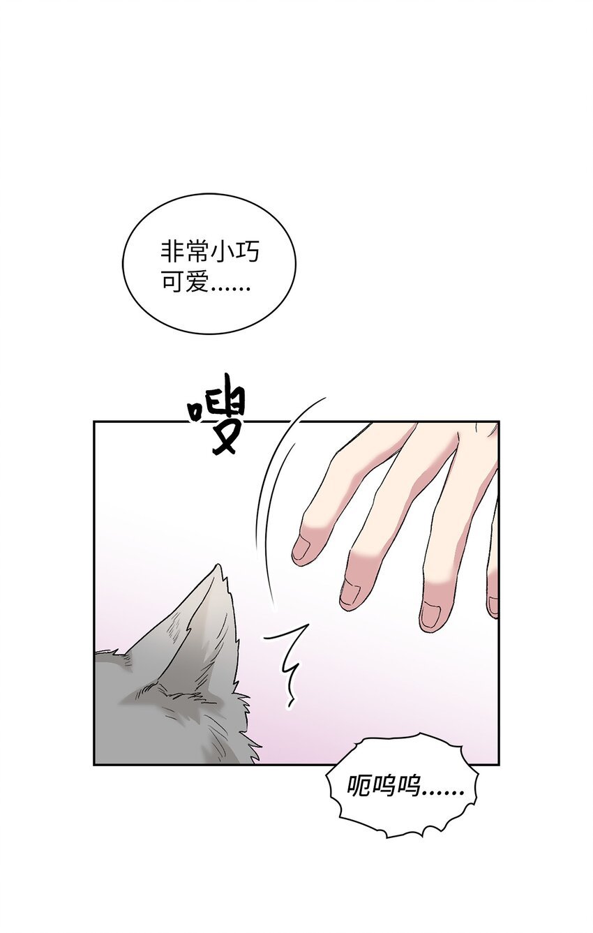 24 小灰灰出没
