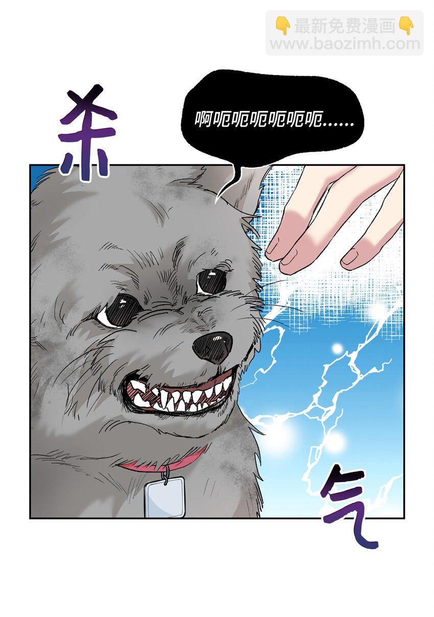 24 小灰灰出没