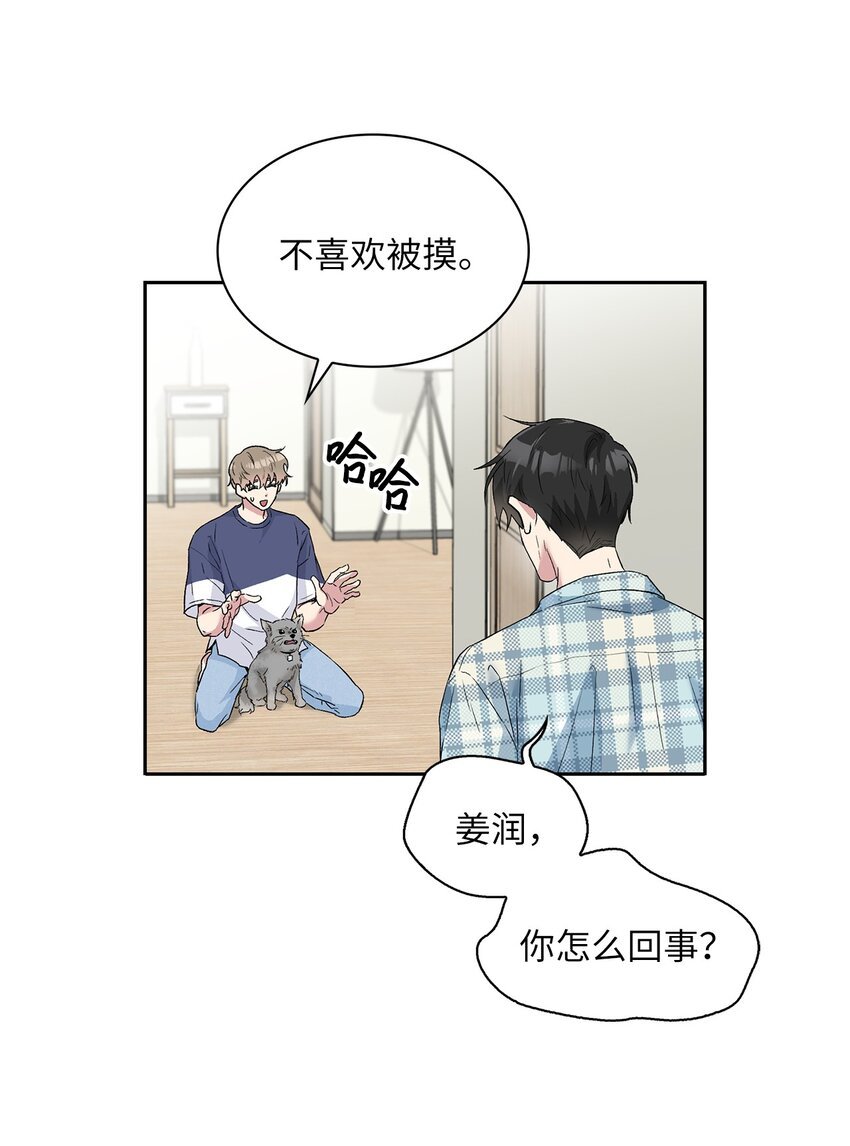 24 小灰灰出没
