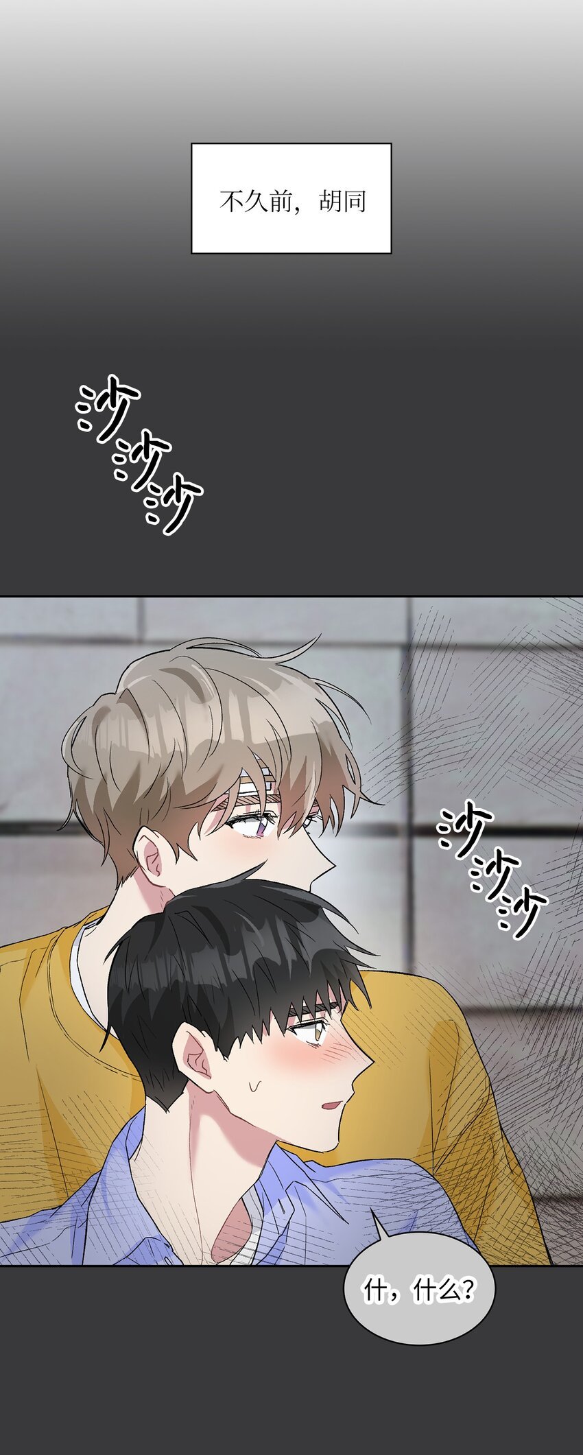 24 小灰灰出没