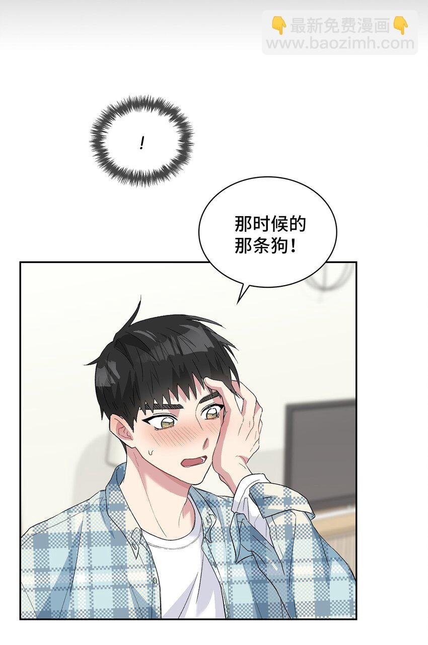 24 小灰灰出没