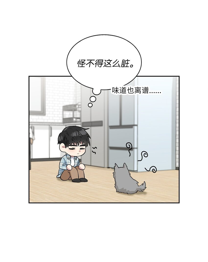 24 小灰灰出没