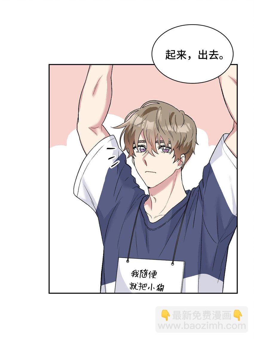 24 小灰灰出没