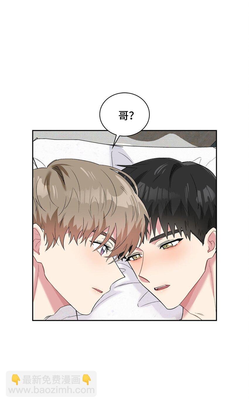 26 代言小灰灰