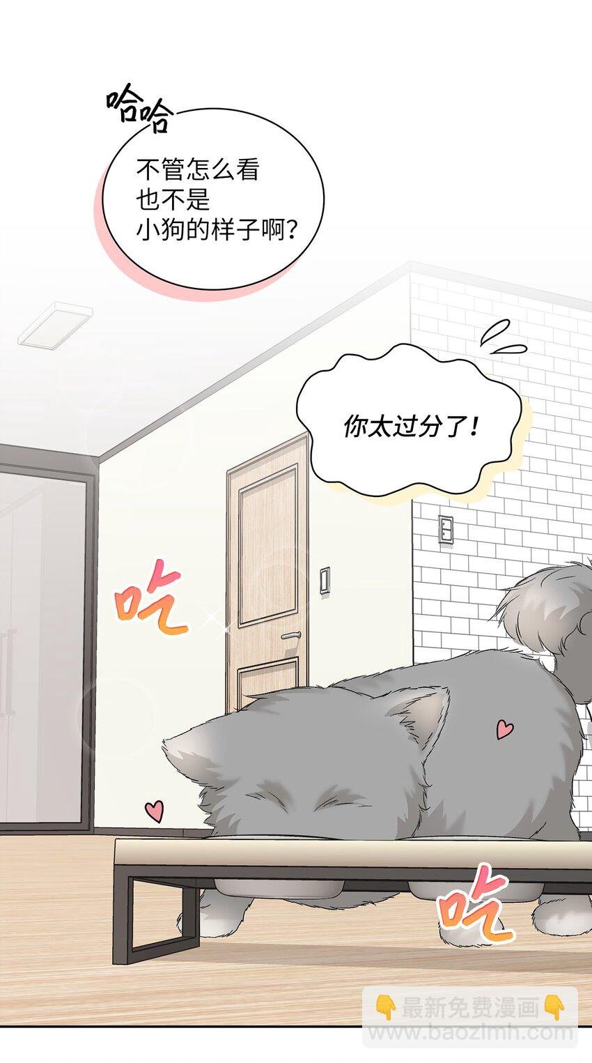 26 代言小灰灰