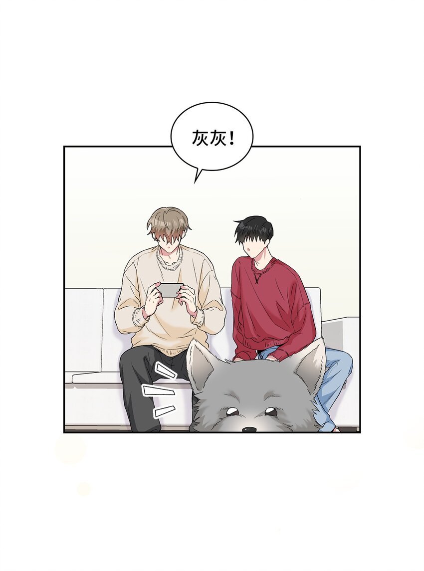 26 代言小灰灰