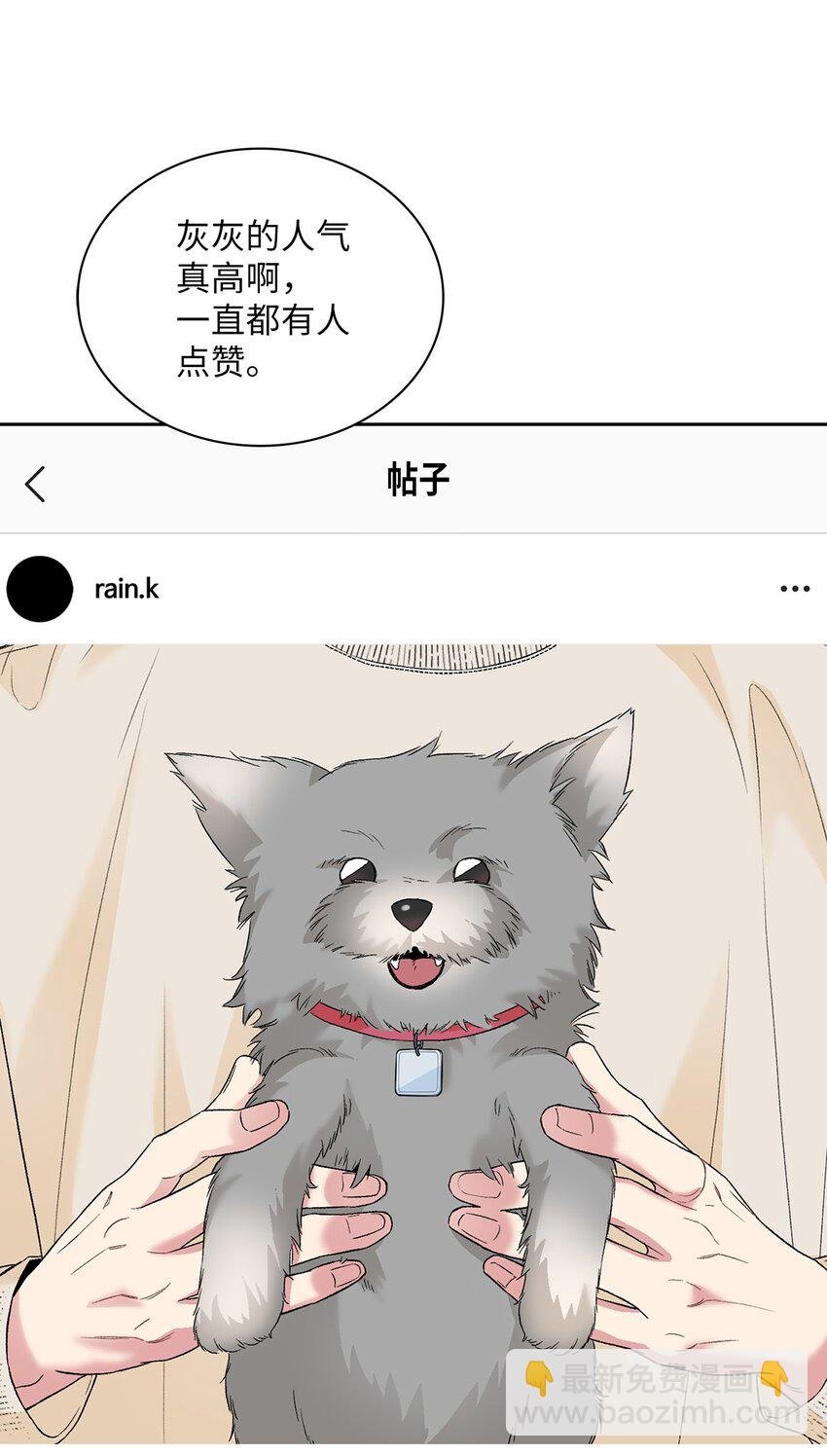 26 代言小灰灰