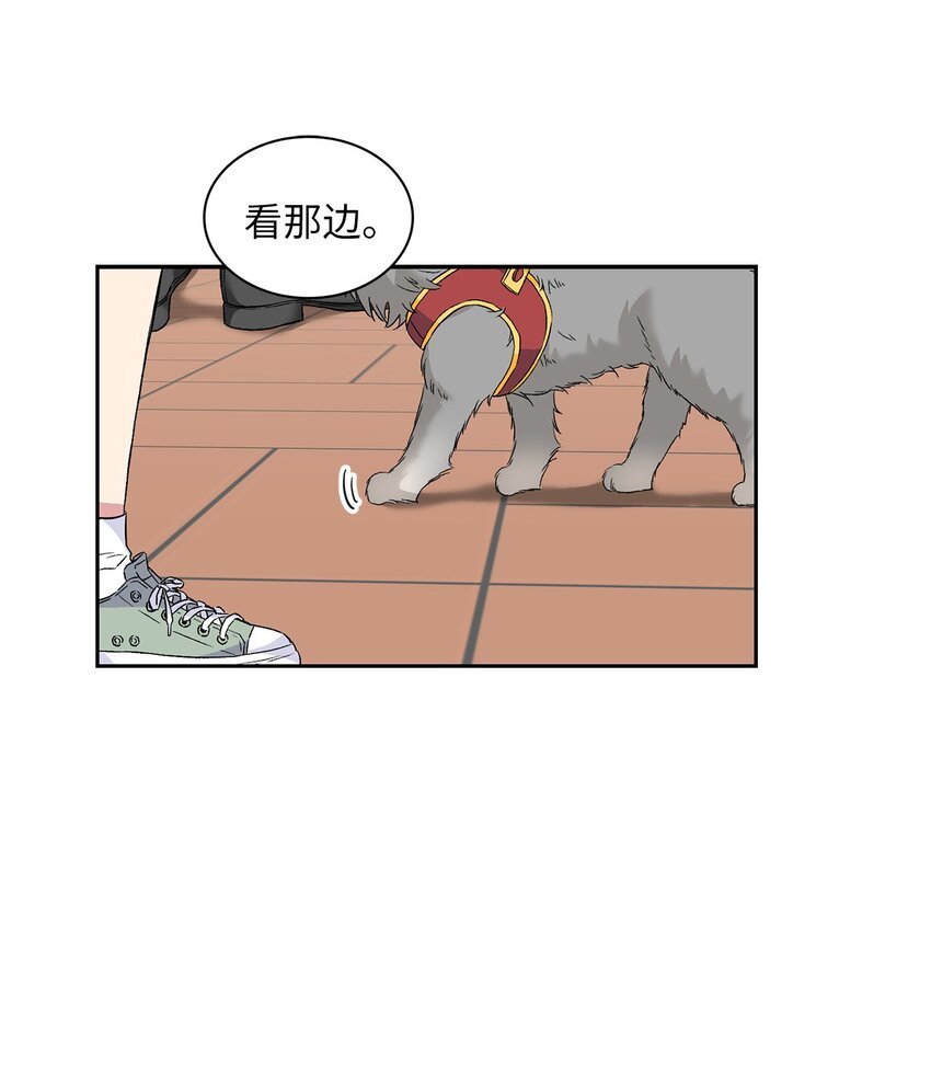 27 找上门来