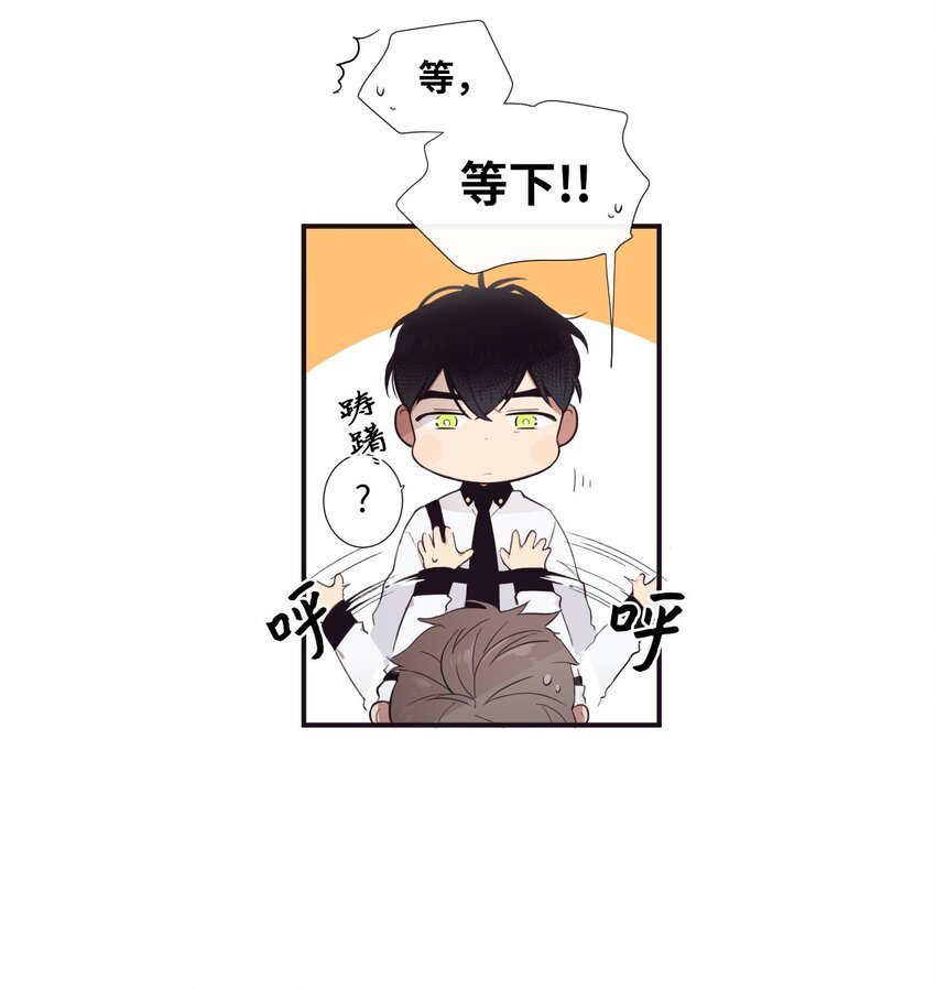 11 是从什么时候开始的呢