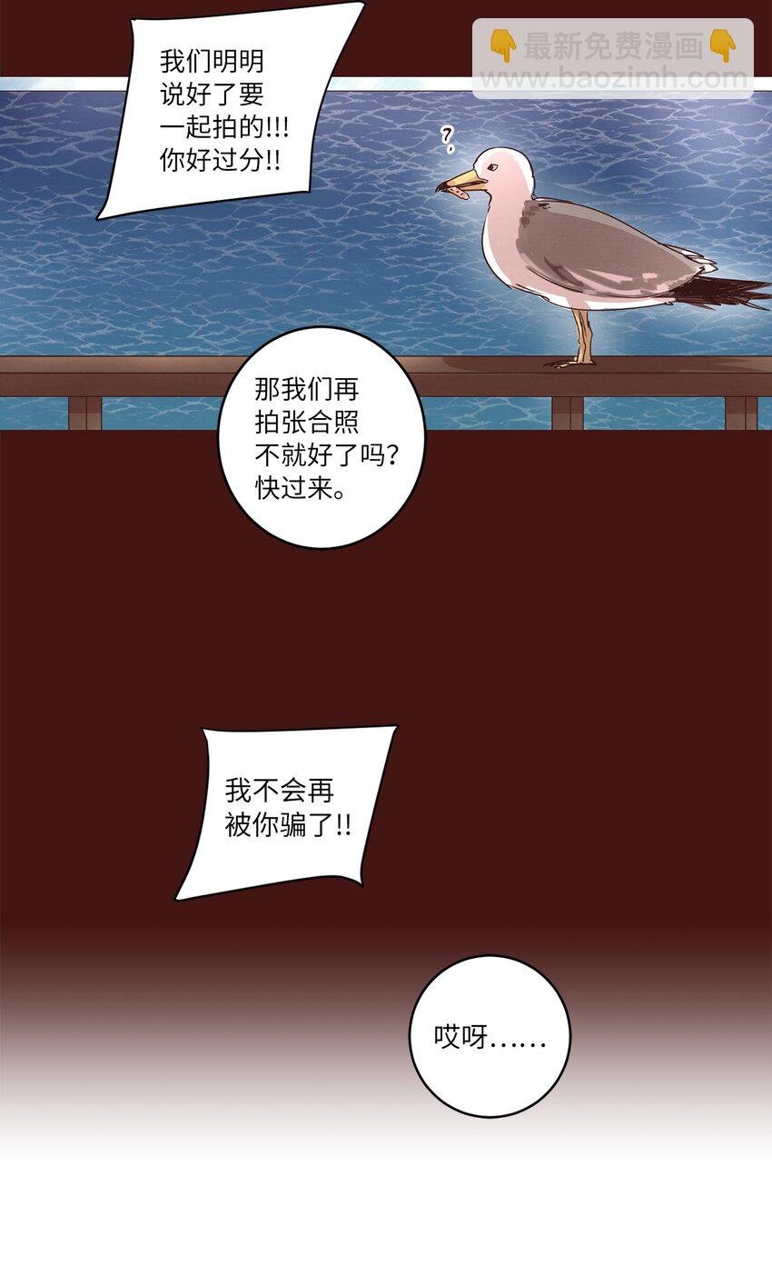 27 散落的照片