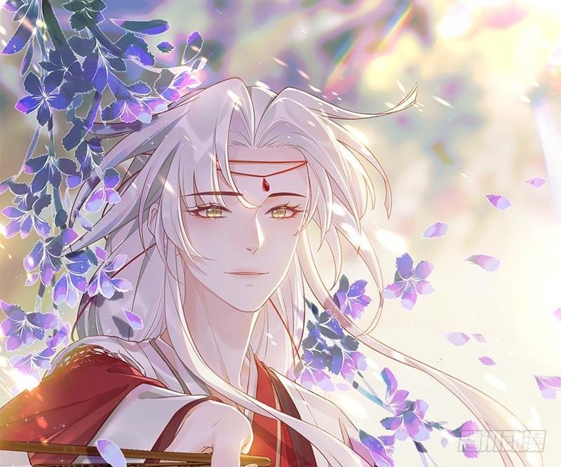 第11.5话 看看大老虎吧