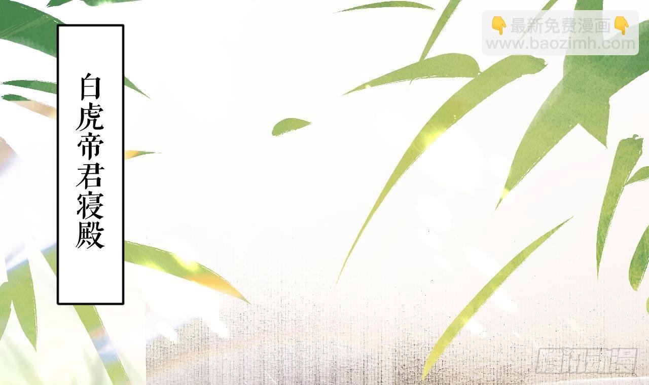 第11.5话 看看大老虎吧