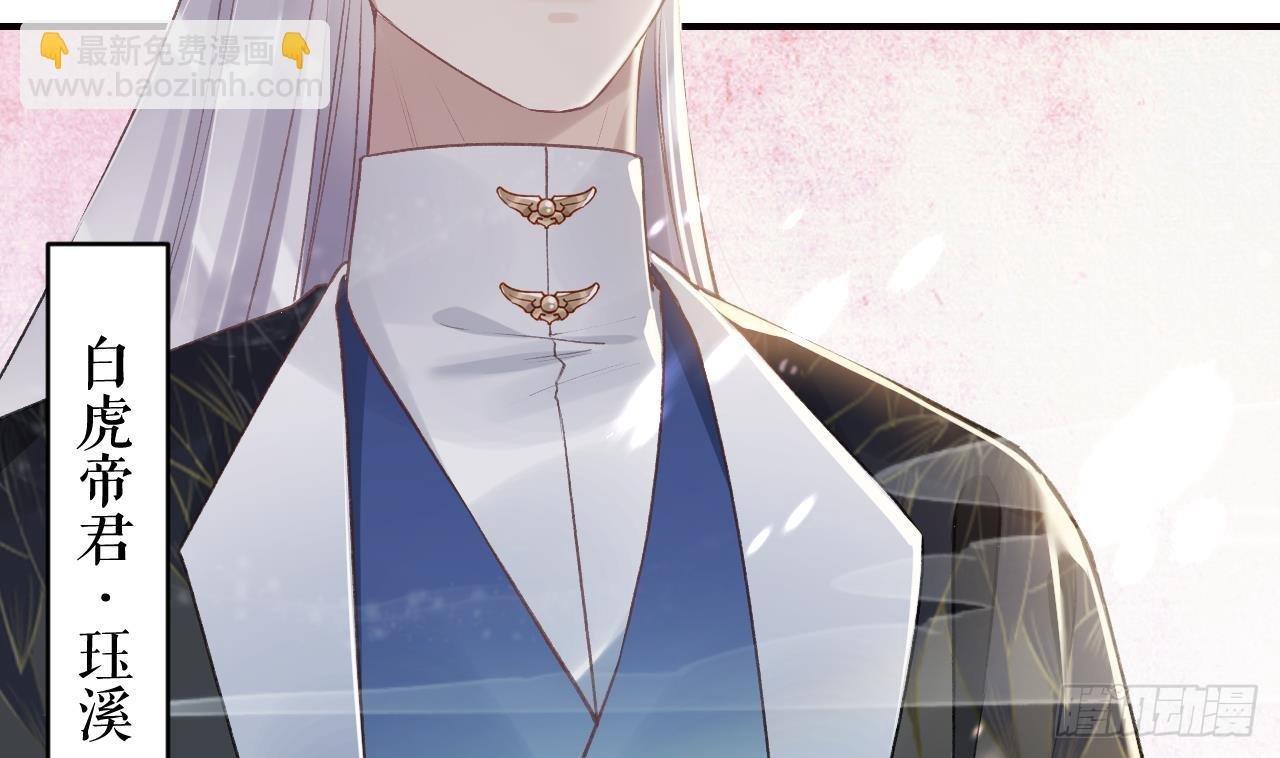 第11.5话 看看大老虎吧