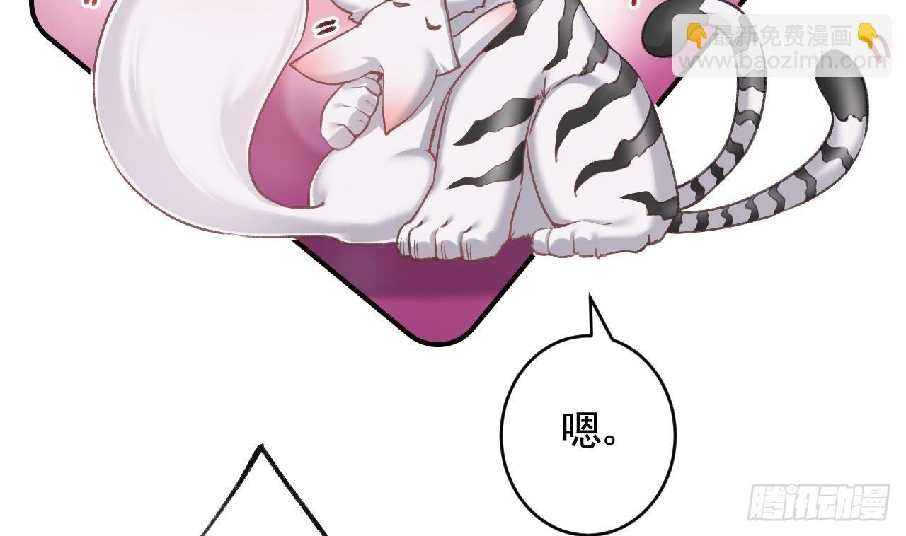 第11.5话 看看大老虎吧