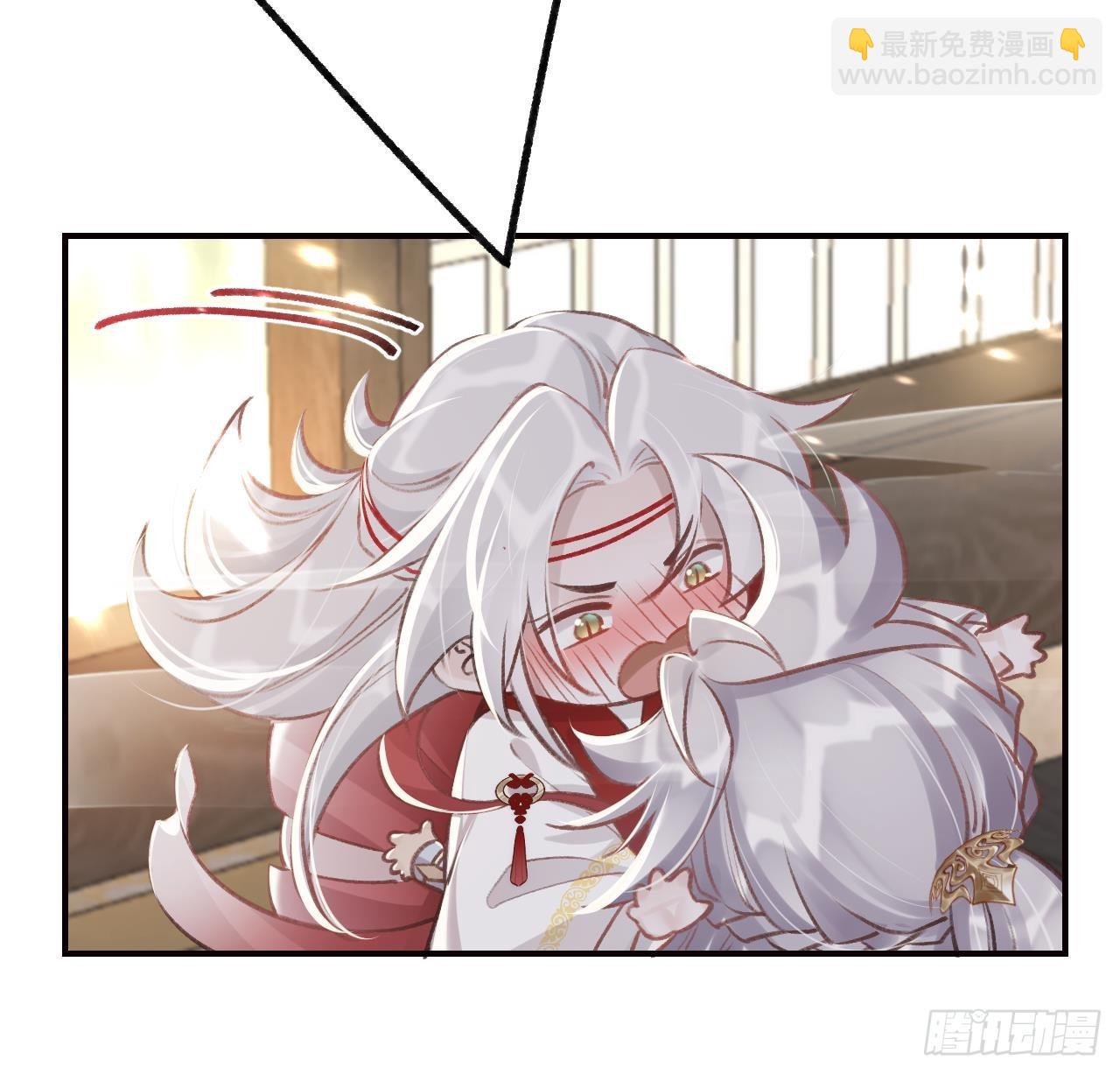第11.5话 看看大老虎吧