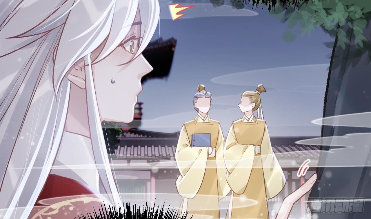 第11.5话 看看大老虎吧