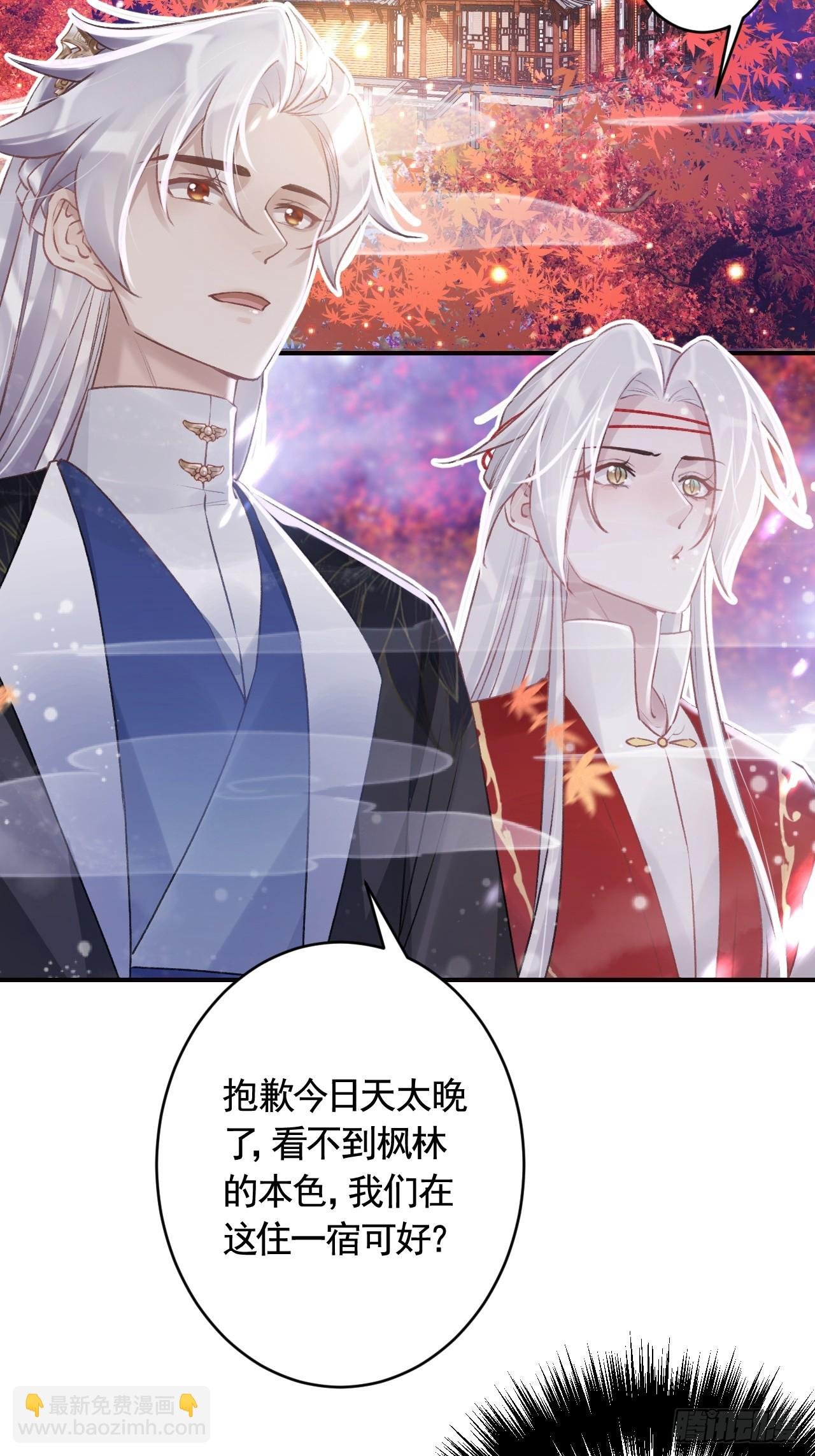 第11.5话 看看大老虎吧