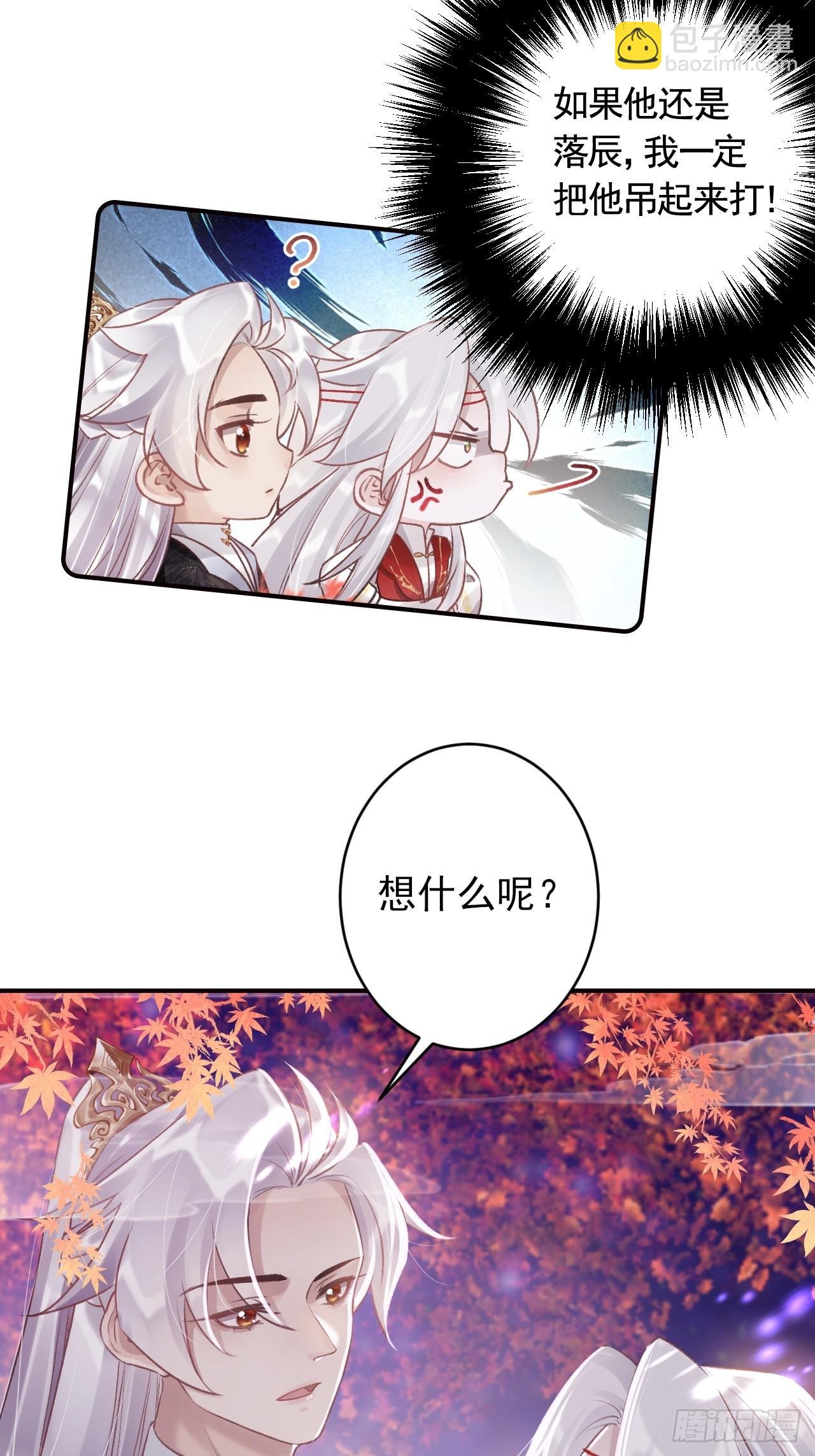 第11.5话 看看大老虎吧