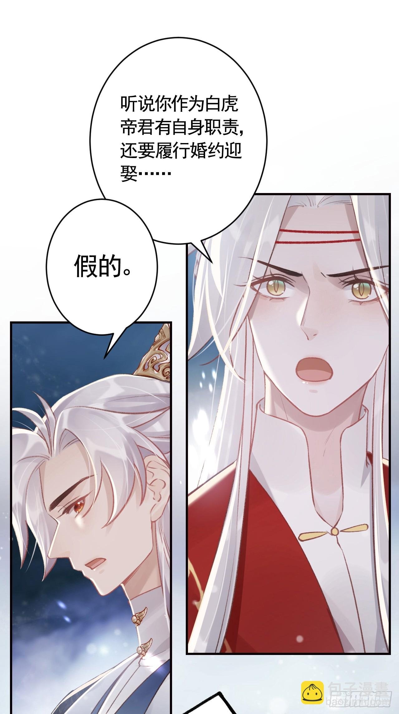 第11.5话 看看大老虎吧