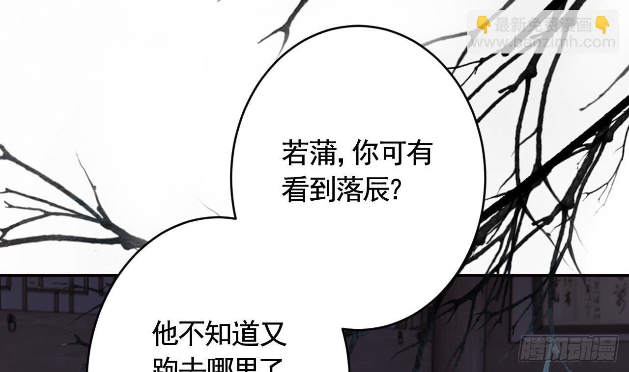 第17话 那我可就不装了