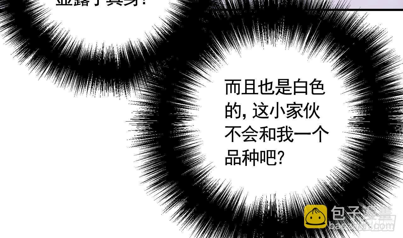 第7话 小崽子竟是白虎？